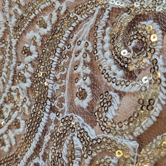 2/4 Free People Night Shimmer Lace & Sequins Sleeveless Lined Mini Dress - Picture 10 of 16